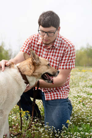 Summer leisure time, pet care and training. Happy man plays with mixed breed shepherd dog on green grassの写真素材