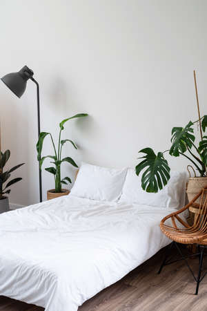 Space at home with bed, monstera and laundry baskets. home interiorの写真素材