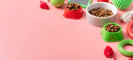 Pet care concept, various pet accessories and tools, toys, balls, brushes on pink background, high angle viewの写真素材