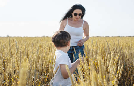 Happy family on a summer walk, mother and child walk in the wheat field and enjoy the beautiful nature, at sunsetの写真素材