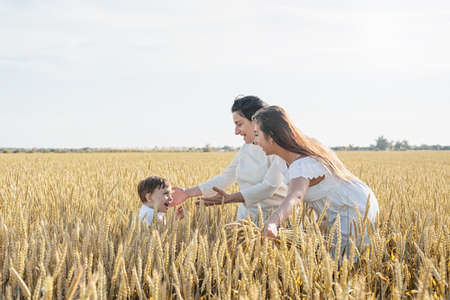 happy family of three people, mother and two children walking on wheat fieldの写真素材