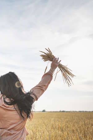 Mid adult woman in beige shirt walking across golden field holding heap of rye lit by sunset light, copy spaceの写真素材