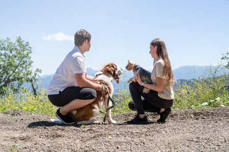 pet care. Travelling. young couple traveling with dogs at the mountains, St.Bernard dog and yourkshire terrierの写真素材