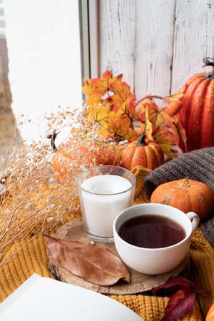 hello fall. Cozy warm image. Cozy autumn composition, sweater weather. Pumpkins, hot black tea and...
