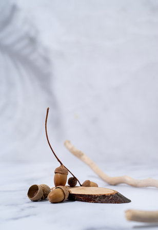 A minimalistic scene of a podium with wood and acorns on a white background. Oval wooden catwalk for...