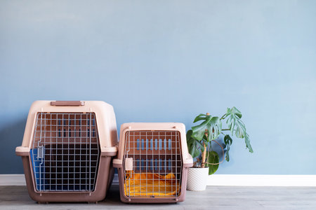 Travel carrier box for animals. Plastic pet carrier or pet cage with yellow suitcase and monstera plant on the floor at home blue wall, copy spaceの写真素材
