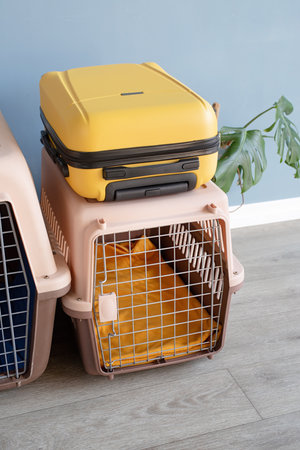 Travel carrier box for animals. Plastic pet carrier or pet cage with yellow suitcase and monstera...