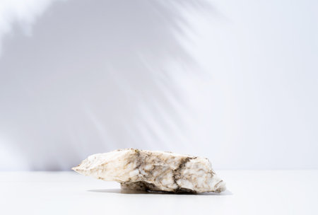 A minimalistic scene of stone marble podium on white background, for natural cosmetics. Showcase with a stage for products, mockup designの写真素材