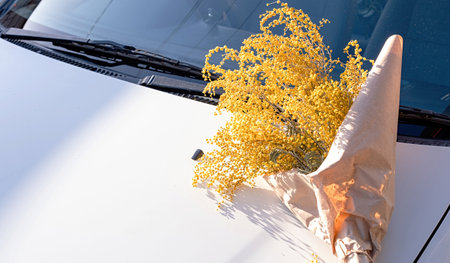 yellow mimosa flowers bouquet on white car hood. spring concept. flat lay. top view bannerの写真素材