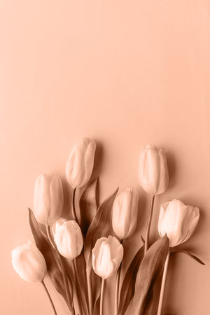Mocha Mousse - color of the year 2025. Spring concept. Top view of beautiful tulips on brown backgroundの写真素材