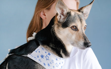 young female doctor holding cute mixed breed dog wearing post operational protective shirt. Pet clothing after surgeryの写真素材