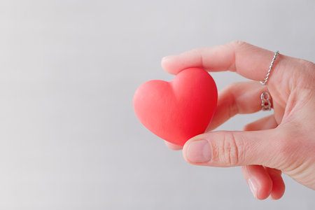 female hands holding small red heart shapeの写真素材