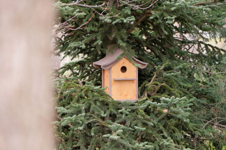 Bird feeder on a tree in the forestの写真素材
