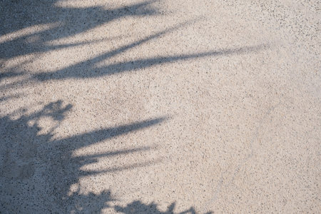 Leaves Shadow on Concrete floor background, abstract floral shadowの写真素材