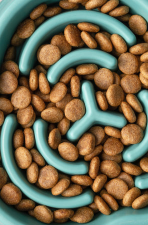Slow feeding bowl filled with dry food extreme closeup