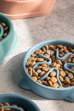 Slow feeding bowls filled with dry dog food on concrete backgroundの写真素材