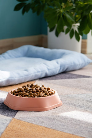 Slow feeding bowl filled with dry dog food on the rugの写真素材