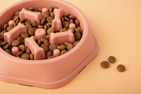 Cat and dog orange slow Feeding Bowl on orange background , Pet Slow Feeder with dry foodの写真素材