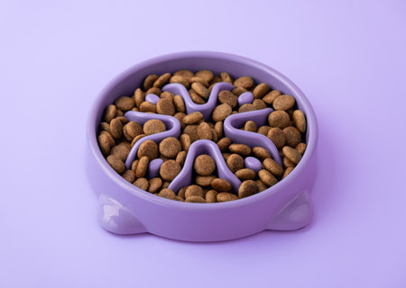 Cat and dog purple slow Feeding Bowl on purple background , Pet Slow Feeder with dry foodの写真素材
