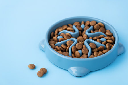 Cat and dog blue slow Feeding Bowl on blue background , Pet Slow Feeder with dry food