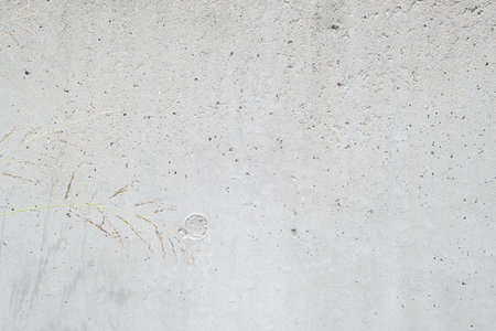 Modern gray limestone texture background with a plant. gray concrete stone table top desk view....