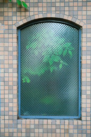 Blurred plant leaves behind glass of window tile wall, blurred green leaf background.の写真素材