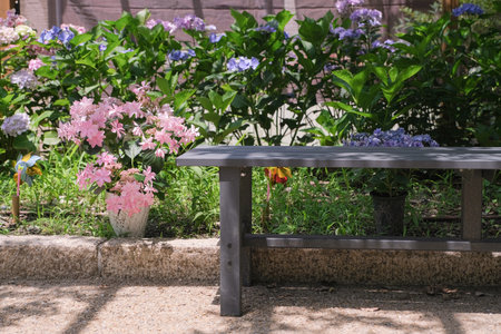 wooden bench in a city park among hydrangeas in Kyoto, Japan