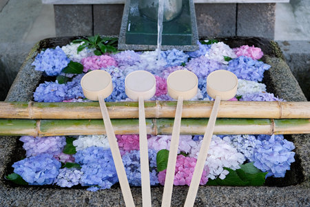 traditional Japanese tsukubai wash basin decorated with hydrangea flowers to celebrate rainy season...