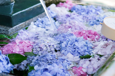 traditional Japanese tsukubai wash basin decorated with hydrangea flowers to celebrate rainy season...
