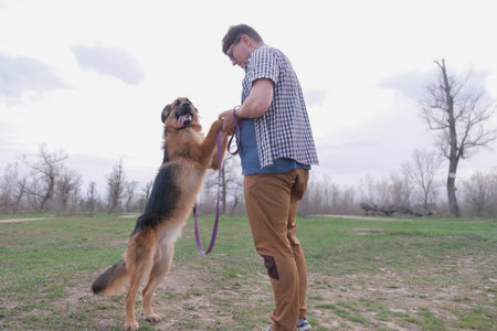man walking his dog, holding paws in the parkの写真素材