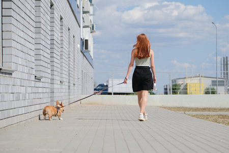 redhead young woman walking her corgi puppy in the cityの写真素材