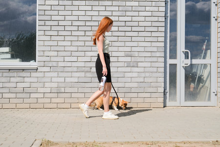 redhead young woman walking her corgi puppy in the cityの写真素材