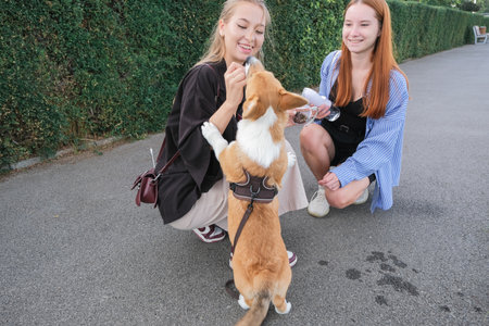 two female friends playing with their corgi dog in the city streetの写真素材