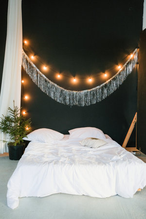 beautiful cozy living room with bed