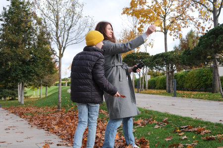 mother and son collecting autumn leaves in a park on a sunny dayの写真素材