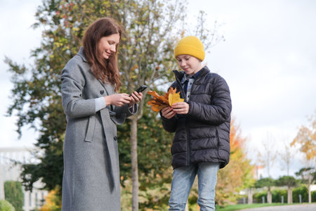 mother and son collecting autumn leaves in a park and taking picture on a sunny dayの写真素材