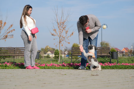 Couple walk dog in park, dog giving a pawの写真素材