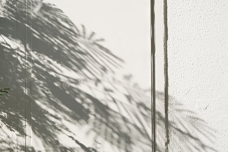 concrete wall background with shadow overlay tropical leaves