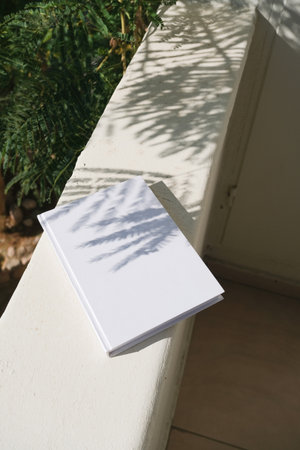 empty book mockup on concrete wall with tropical plants shadow