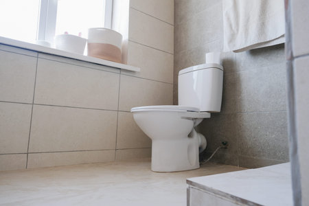 Toilet bowl near shower stall in modern bathroom interior, floor level