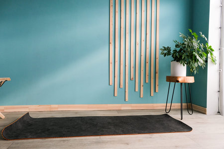 Bright room with a black mat and cushions.の写真素材