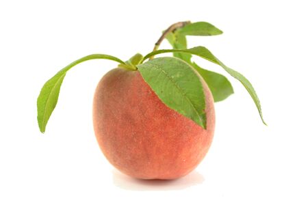 Peach with leaves not sprayed with chemicals の写真素材
