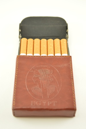 Leather cigarette case with scenes from Egyptの写真素材