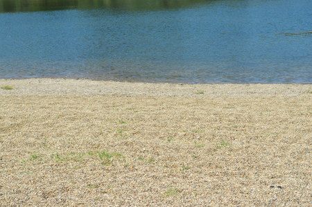 Sandy beach on the riverの写真素材