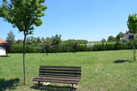 Bench in the parkの写真素材