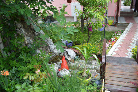 Serbian house garden, smooth green grass lawn, colorful flowering plant, in good care maintenance landscaped in the park stock photoの写真素材
