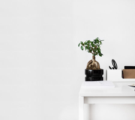 3d illustration, Interior pictures where you can display wall productsの写真素材