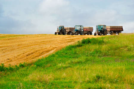 three tractors harvests on a yellow field in summer day の写真素材