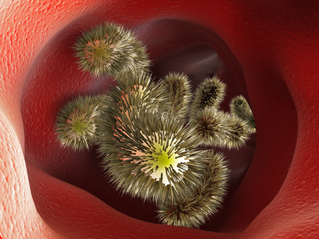 Bacteria moving inside human tissue