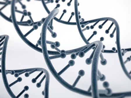 DNA strands isolated on whiteの写真素材